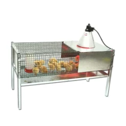 Kit Cage éleveuse poussins et cailles 100 x 60 x 50 cm
