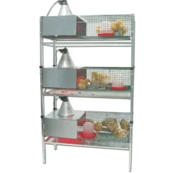 Kit complet 3 cages éleveuses poussins ou cailles