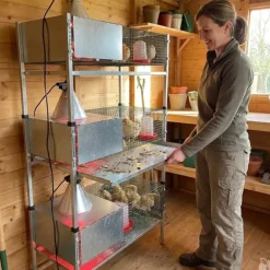 Kit complet 3 cages éleveuses poussins ou cailles