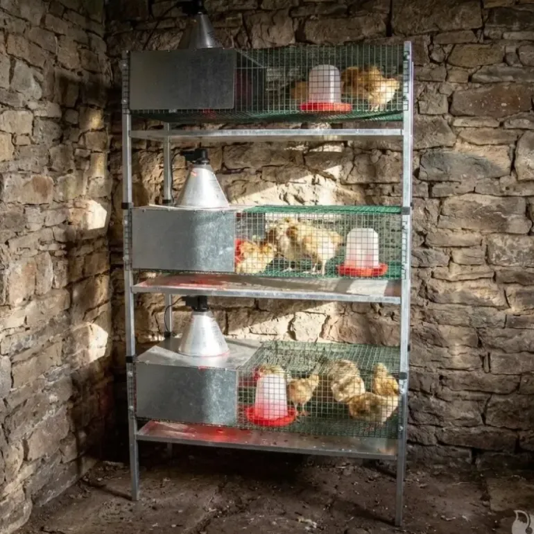 Kit complet 3 cages éleveuses poussins ou cailles