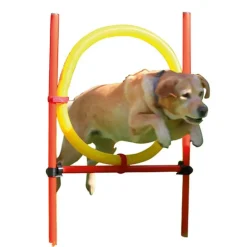 Kit complet d'agilité pour chien Agility en 3 parties