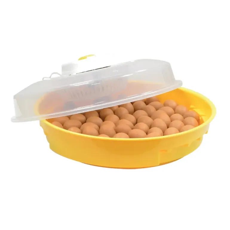 Kit de démarrage Start - Couveuse avec accessoires