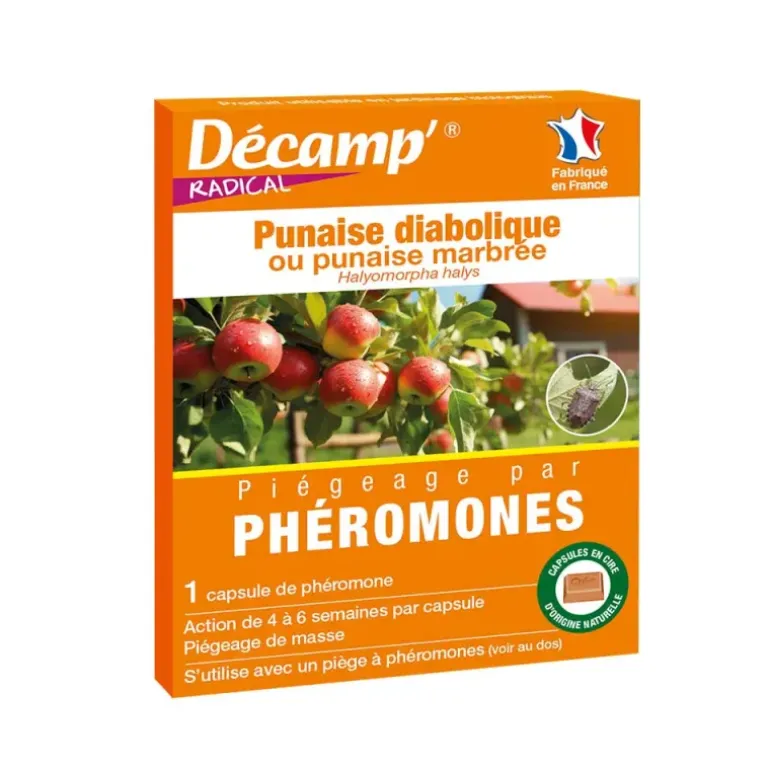 Kit Piège à Phéromones contre les Punaises Diaboliques - Décamp