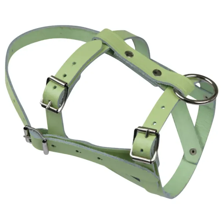 Licol pour mouton ou bélier en cuir