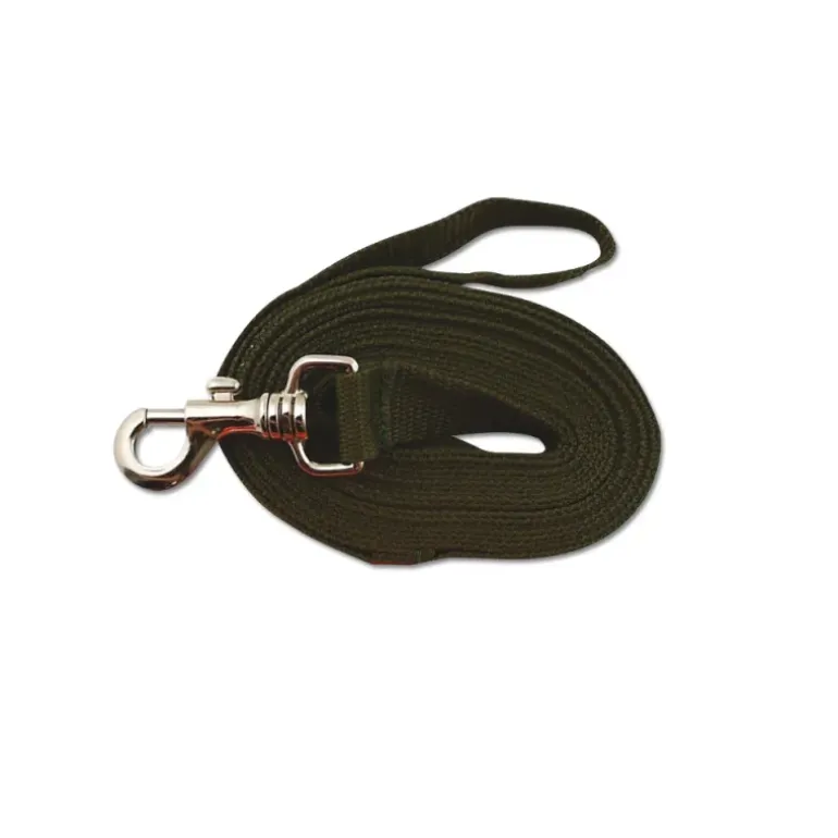 Longe pour chien 5m kaki