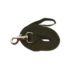 Longe pour chien 5m orange