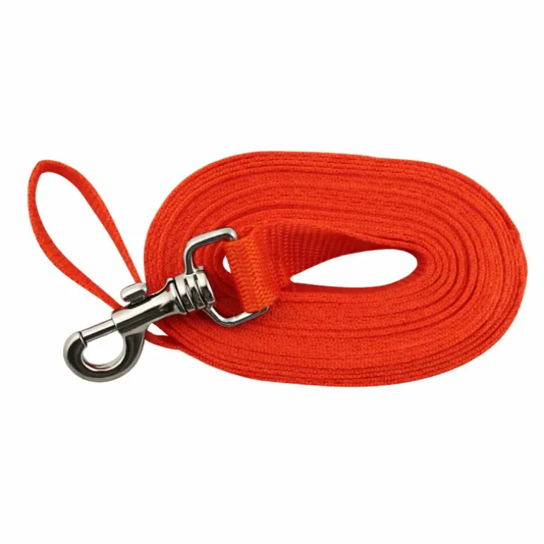 Longe pour chien 5m orange