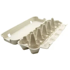 Lot 124 boites à oeufs de 12 oeufs carton