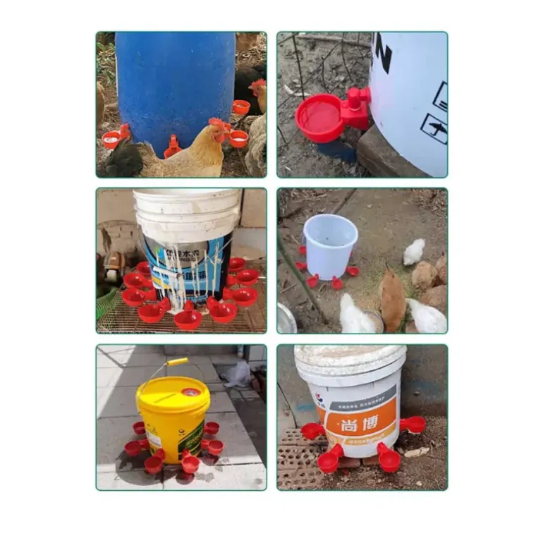 Lot de 5 abreuvoirs bol pour bidon en plastique rouge pour volailles