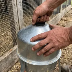 Lot de 5 Abreuvoirs poules et volailles métal galvanisé 30 L sur pieds