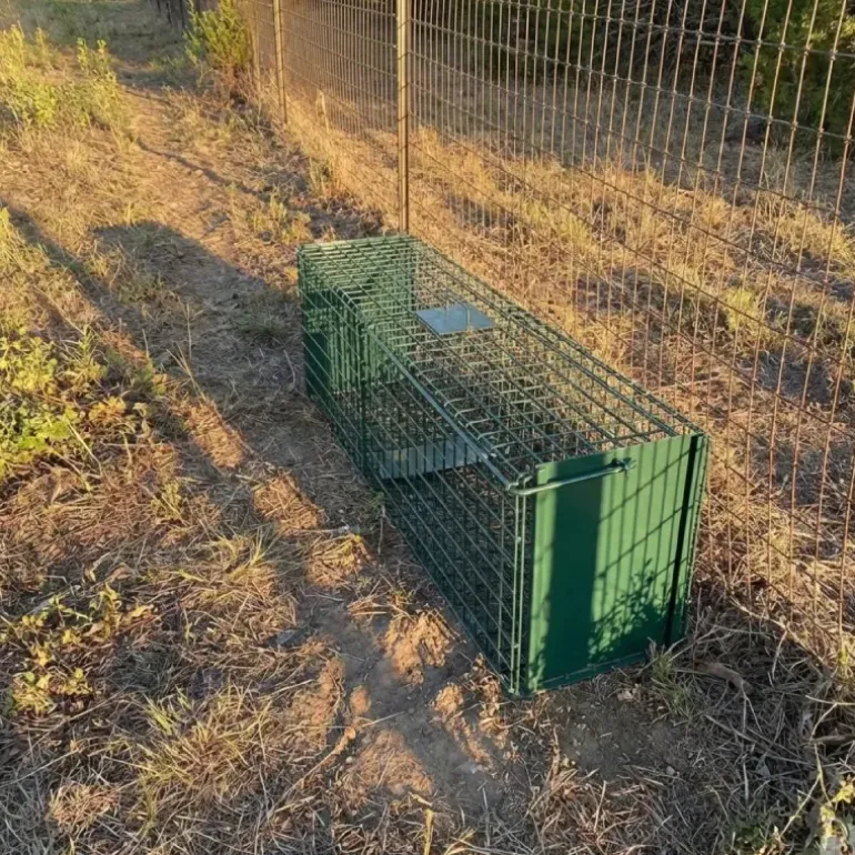Lot de 10 Cages Renard à Appât robuste en maille carrée 13kg 140x30x35cm