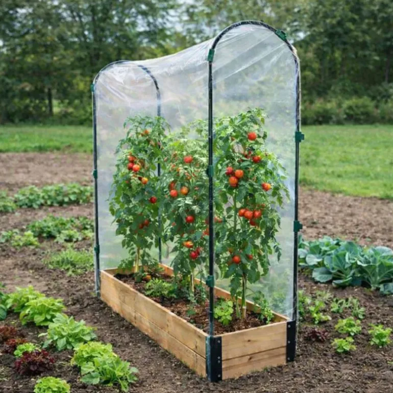 Lot de 3 carrés potager en bois de sapin
