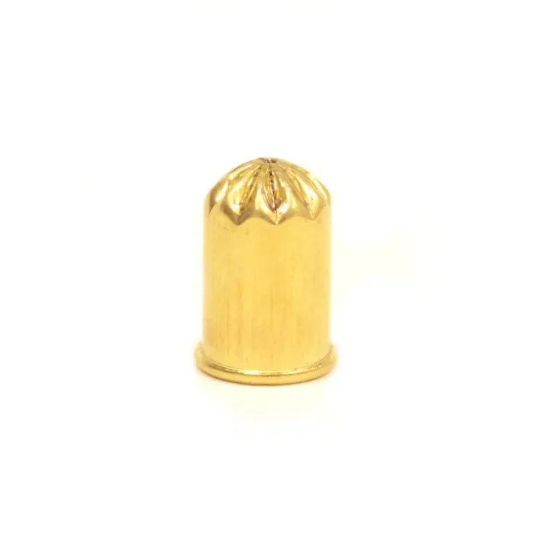 Lot de 10 cartouches pour fusil à taupes