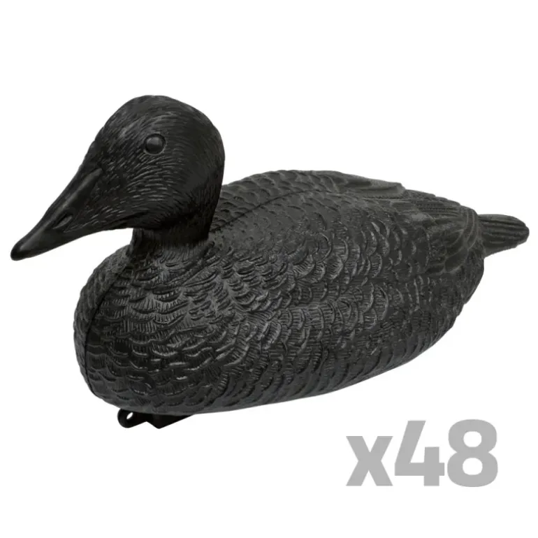Lot de 48 Eiders réalistes traitement anti reflet noir