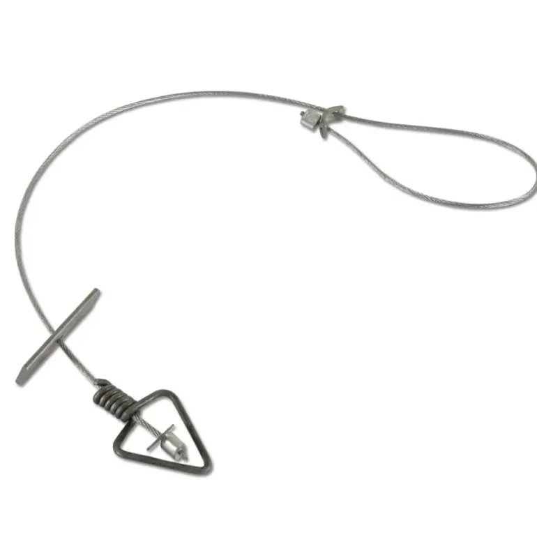 Lot de 5 lacets acier inoxydable pour piège Belisle