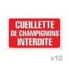 Lot de 10 Panneaux CUEILLETTE CHAMPIGNONS Akilux 26x20cm