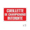 Lot de 5 Panneaux CUEILLETTE CHAMPIGNONS Alu 30 x 20cm