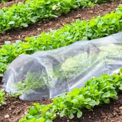 Lot de 4 Tunnels de Forçage 3m pour potager