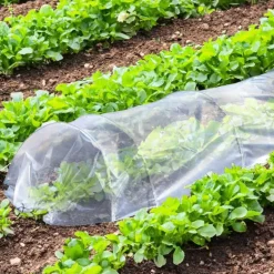 Lot de 4 Tunnels de Forçage 3m pour potager