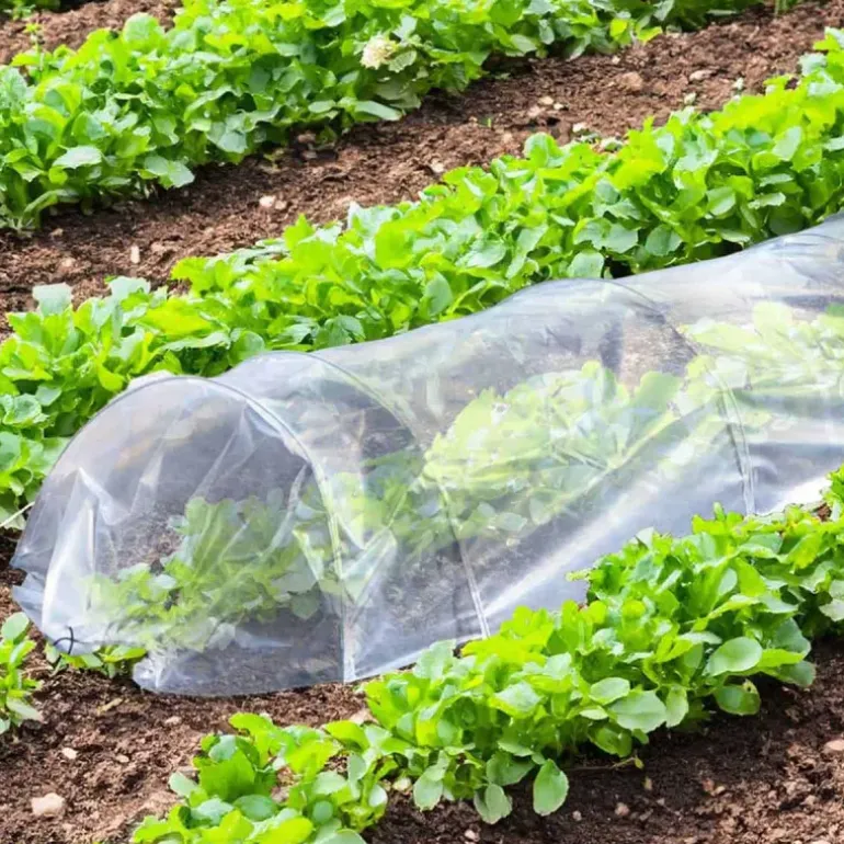 Lot de 4 Tunnels de Forçage 3m pour potager