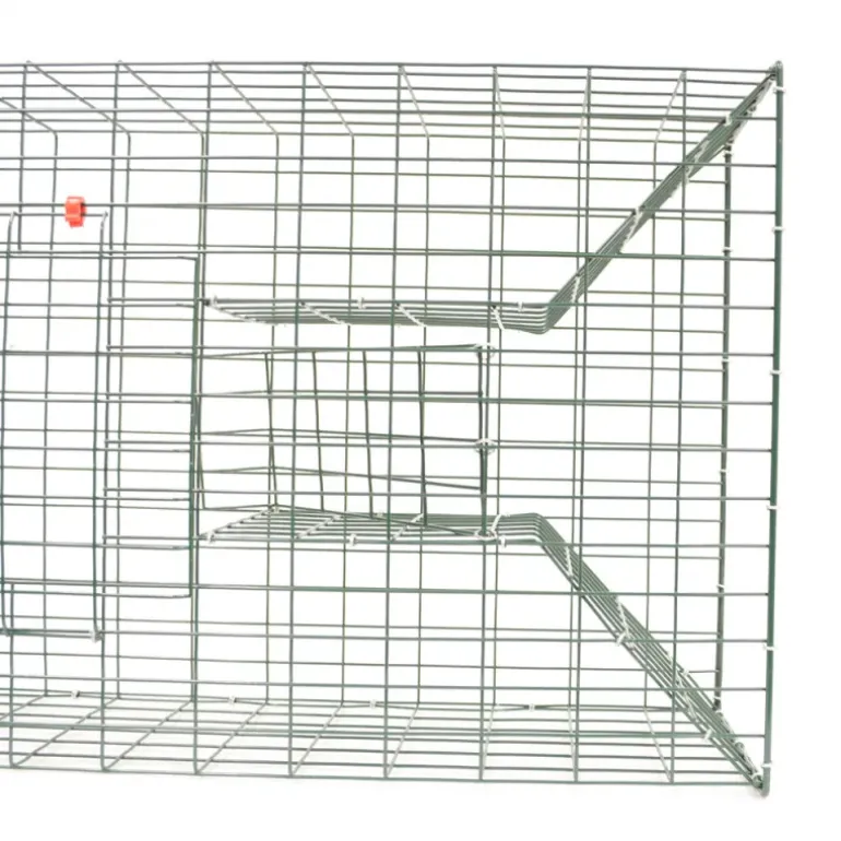 Lots de 5 nasses à rats musqués 2 entrées 100 X16 X 34 cm