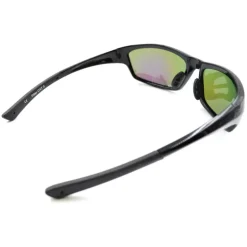 Lunettes polarisantes