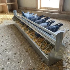 Mangeoire à rouleau pour pigeon 1m