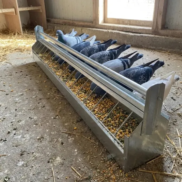 Mangeoire à rouleau pour pigeon 1m