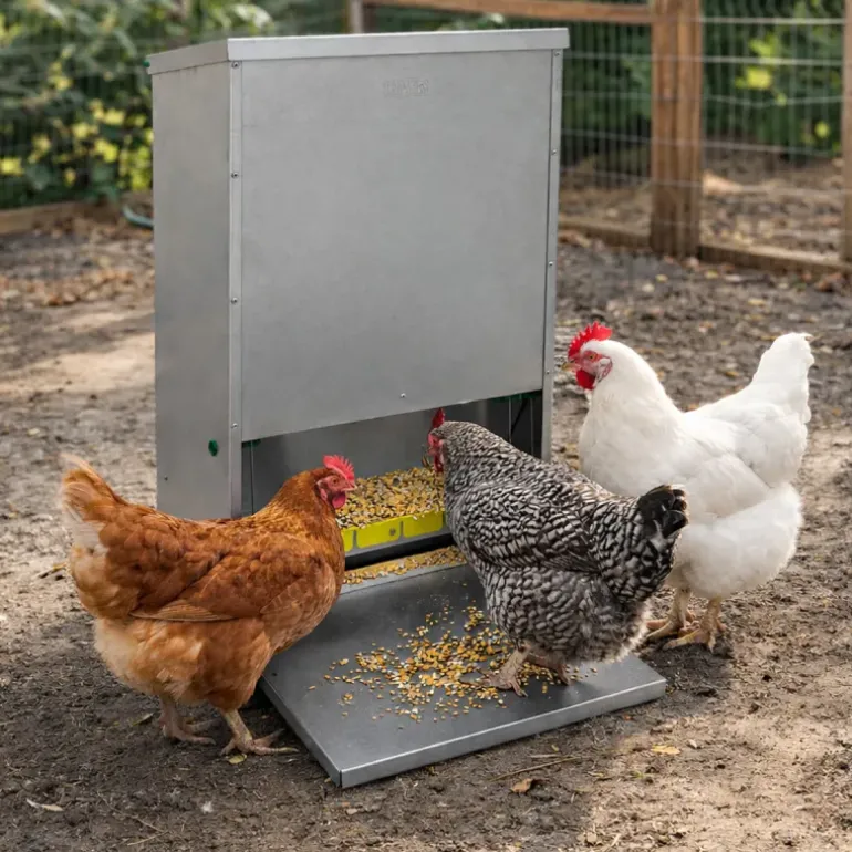 Mangeoire à trémie anti-nuisible tôle galvanisée 23 kg