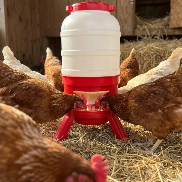 Mangeoire anti-gaspillage sur pieds 30 kg – Grande capacité