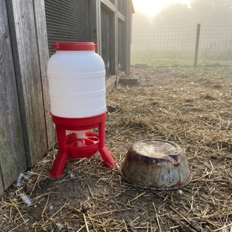 Mangeoire anti-gaspillage sur pieds 30 kg – Grande capacité