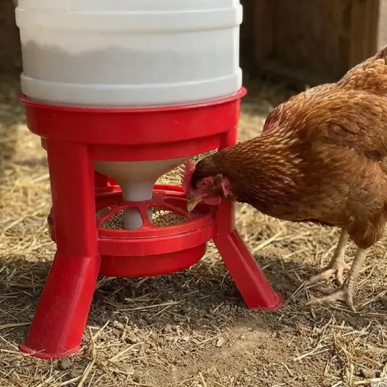 Mangeoire anti-gaspillage sur pieds 23 kg – Grande capacité