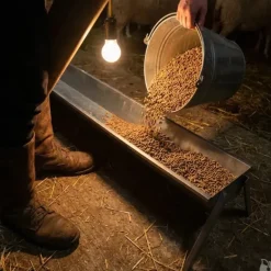 Mangeoire linéaire galvanisée moutons brebis chèvres