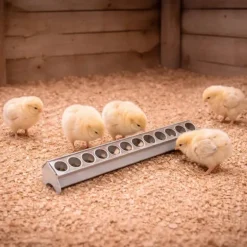 Mangeoire métal galvanisé poussins 50 cm à trous