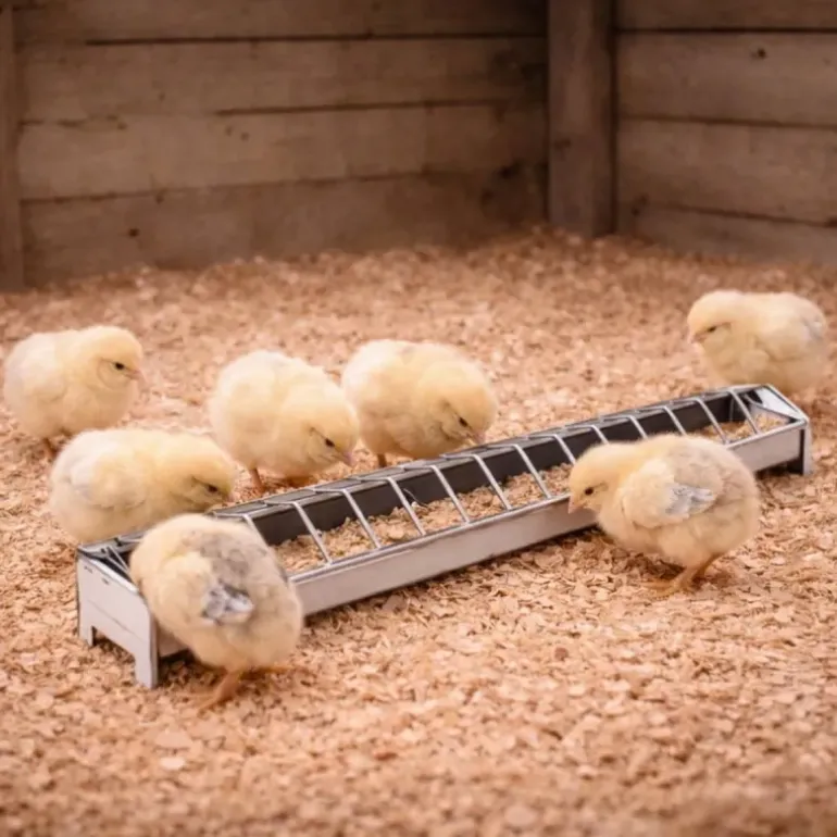 Mangeoire métal poussins 50 cm à barrettes avec couvercle