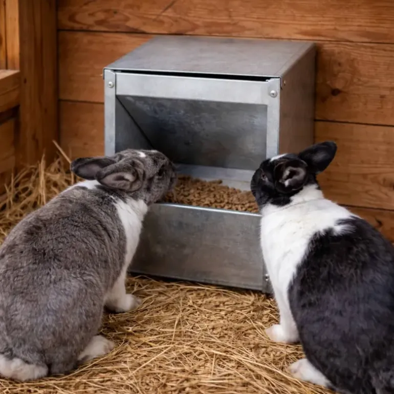 Mangeoire murale metal galvanisé lapin, rongeurs 2,5 Kg