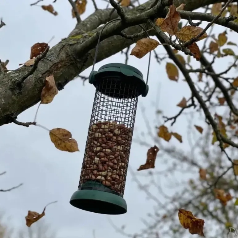 Mangeoire oiseaux métal Ø9x20cm distributeur graines jardin