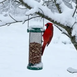Mangeoire oiseaux métal Ø9x20cm distributeur graines jardin