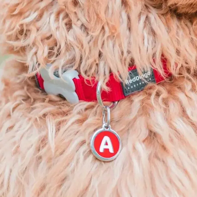 Médaille alphabétique gravable pour chien - Acier inoxydable Ø 3 cm
