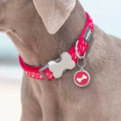 Médaille gravable pour chien - Ø 3cm - Acier inoxydable