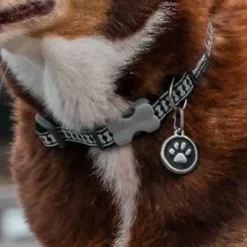 Médaille gravable pour chien - Ø 3 cm - Acier inoxydable RedDingo