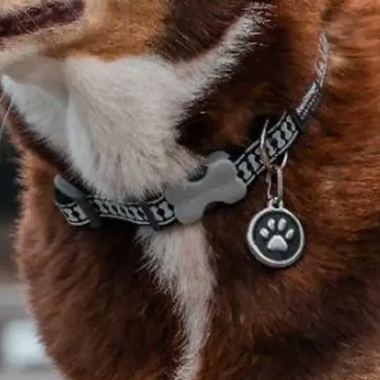 Médaille gravable pour chien - Ø 3 cm - Acier inoxydable RedDingo