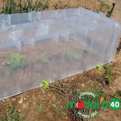 Mini serre / Tunnel de forçage 1,05 m x 0,4 m
