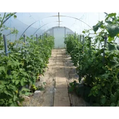 Mini serre de jardin avec aération Largeur 3.70 m