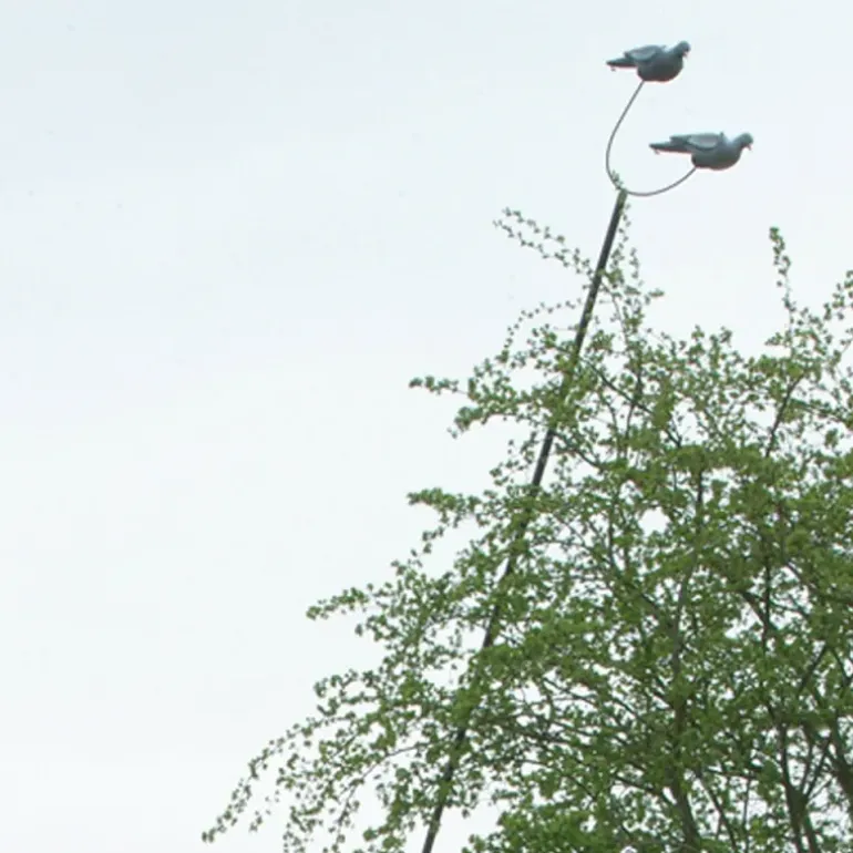 Mât à pigeons en aluminium résistant et ultra léger, noir 6 m