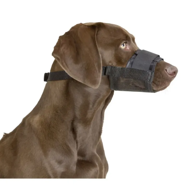 Muselière pour chien en nylon