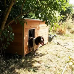 Niche isolée pour chien en bois – Extérieur été/hiver – 160 x 75 x 75 cm