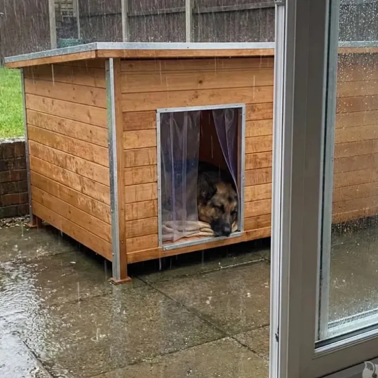 Niche isolée pour chien en bois – Extérieur été/hiver – 160 x 75 x 75 cm