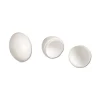 Oeuf pigeon en plastique reproduction des pigeons