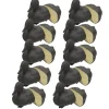 Pack 10 Appelants Eiders Noirs Moussés avec Quille Lestée